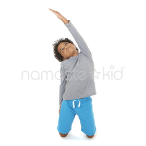 type_poses